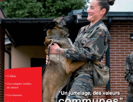 Infos Bergères n°11 - décembre 2025