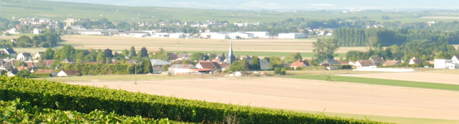 Bergères-lès-Vertus_village