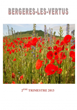 Bulletin municipal - Mai 2013