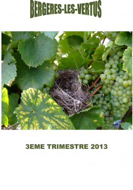 Bulletin municipal - Juillet 2013