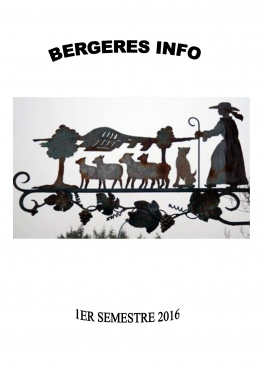 Bulletin municipal - Janvier 2016